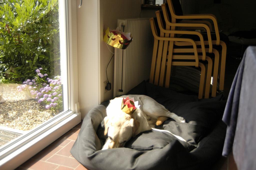Nr. Nebel Overnatning Hostel Nørre Nebel 외부 사진